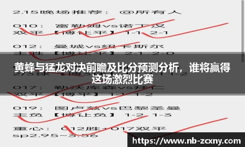 黄蜂与猛龙对决前瞻及比分预测分析，谁将赢得这场激烈比赛